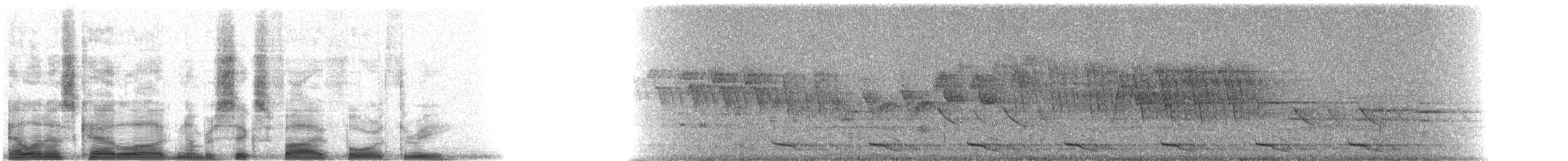 Mountain Trogon - ML6543