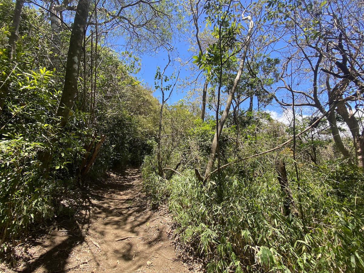 null - ML654302456