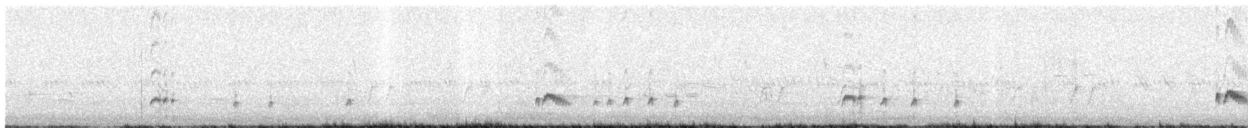 Ash-throated Flycatcher - ML654302994