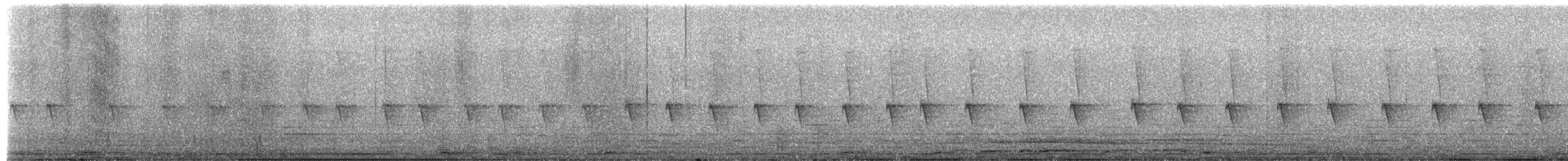 Wedge-tailed Sabrewing - ML654304558