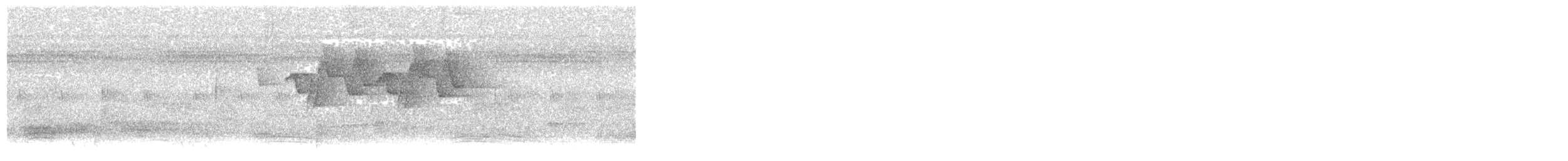 Phylloscopus sp. - ML65431251