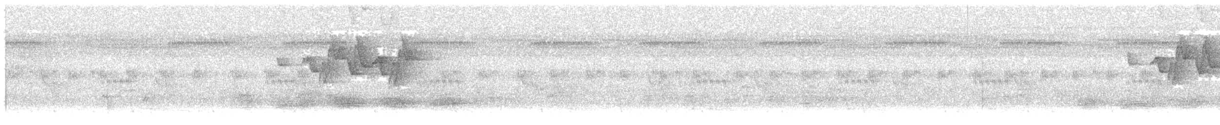 Phylloscopus sp. - ML65431261