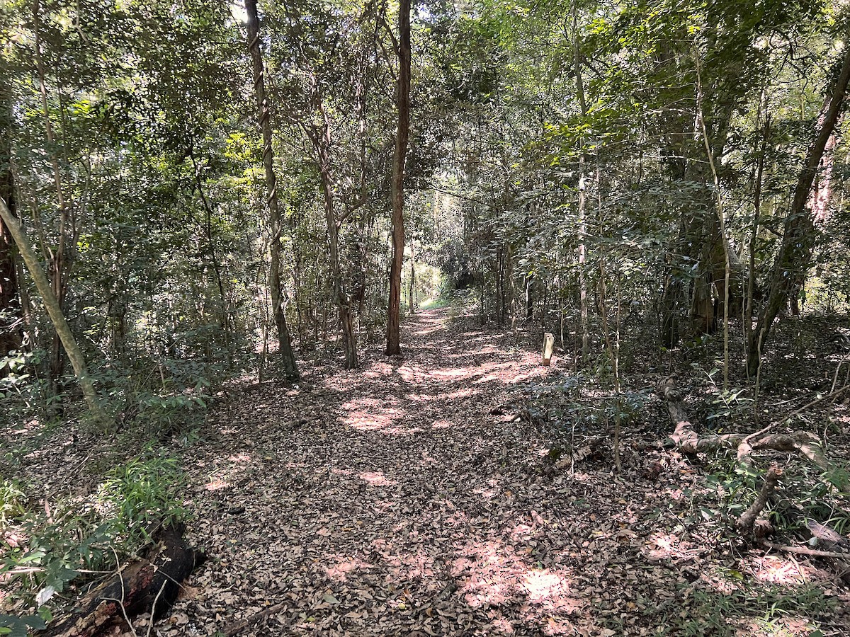 null - ML654341707