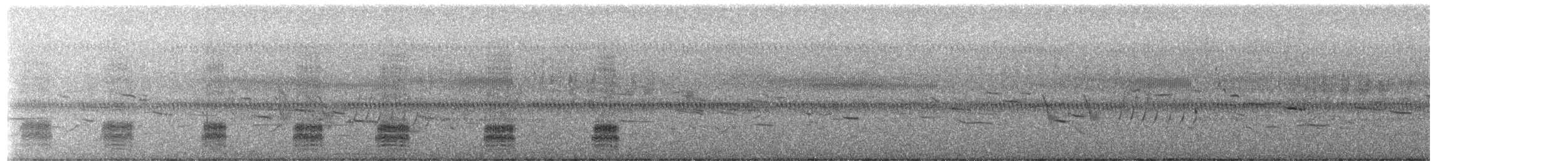 Stockente - ML654359346