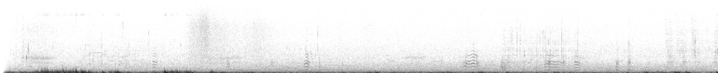 Bufflehead - ML654360171