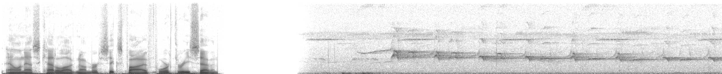 Güçlü Gagalı Tırmaşık [promeropirhynchus grubu] - ML65437