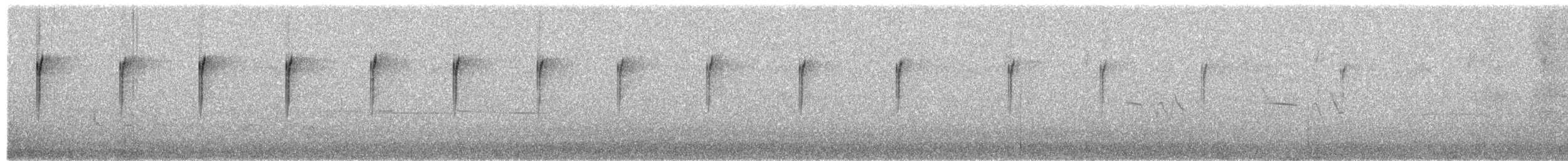 Cisticole de Socotra - ML654370279