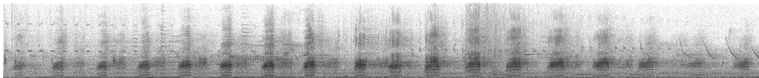 Stockente - ML654385570
