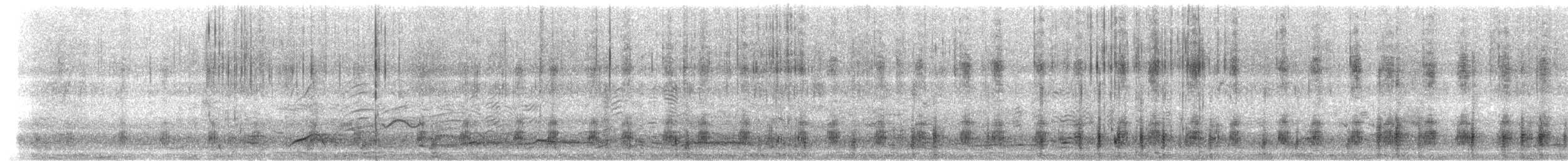 Stockente - ML654392916