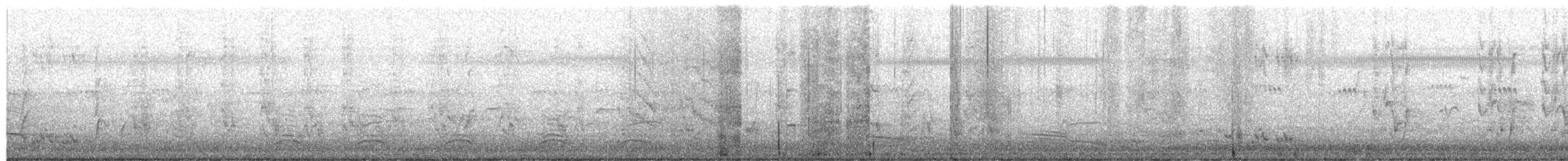 Streifenpirol - ML654393940