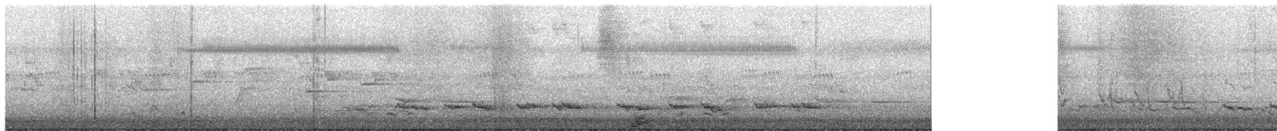 Strichelhonigfresser - ML654393964