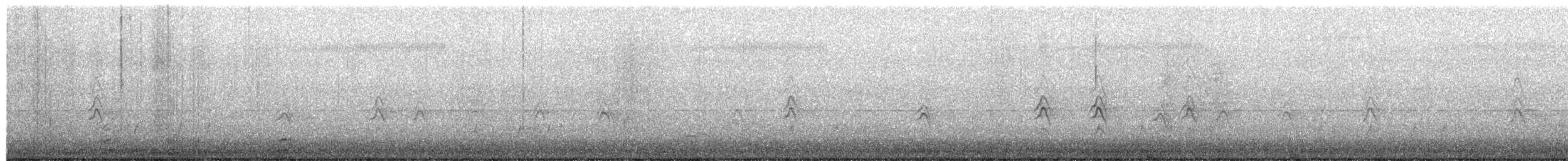 Weißbauch-Schwalbenstar - ML654395773