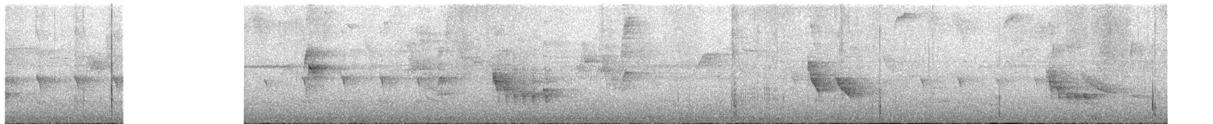 Western Woodhaunter - ML654425063