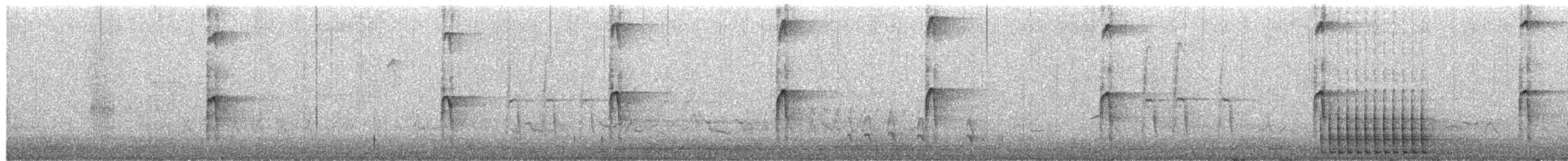 hårspett (villosus gr.) - ML654427370