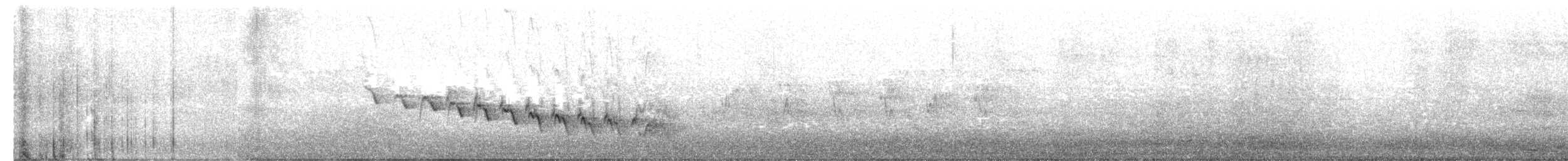 פרוש כחול קנרי - ML654434917