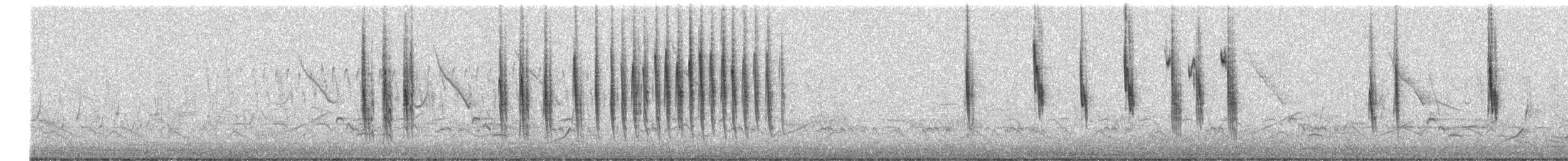 Troglodyte à bec court - ML654442963