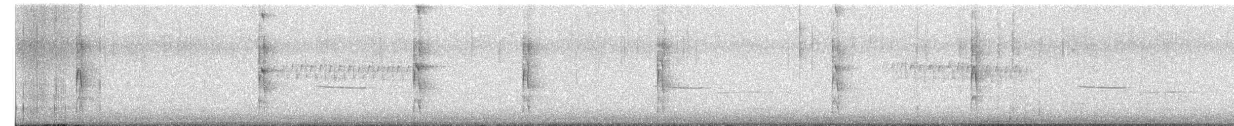 hårspett (villosus gr.) - ML654446173
