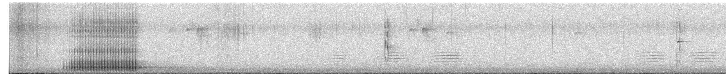 hårspett (villosus gr.) - ML654446174