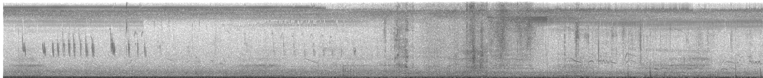 Troglodyte à bec court - ML654462130
