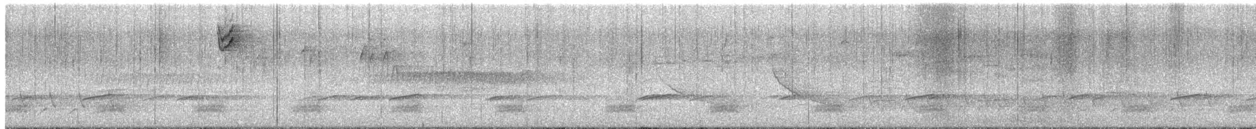 Stockente - ML654472870