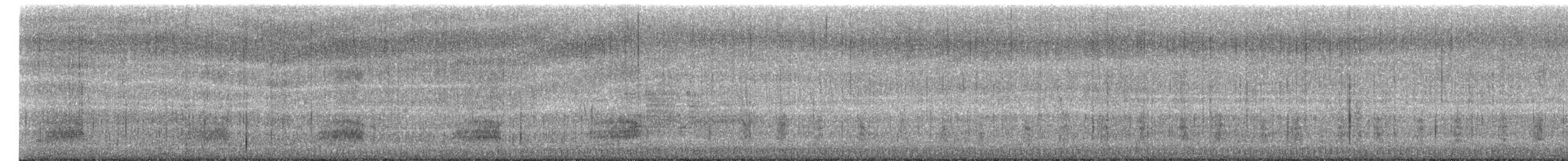 Stockente - ML654479843