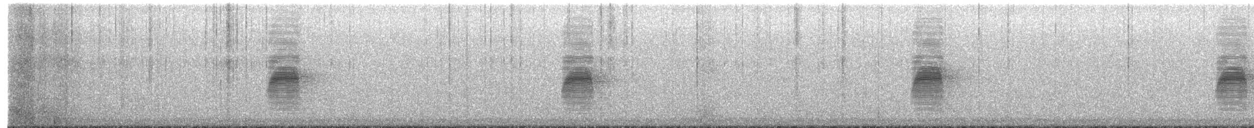 Слуква американська - ML654508963