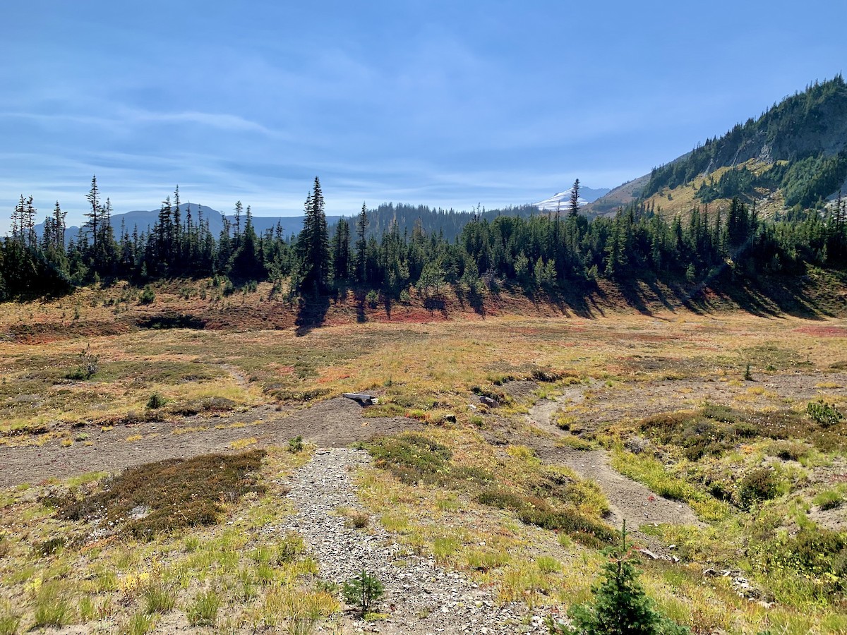null - ML654510621