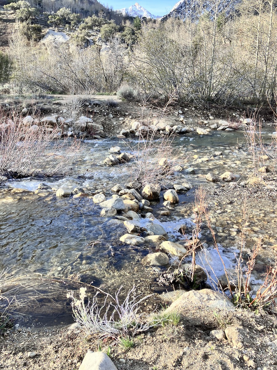 null - ML654516662