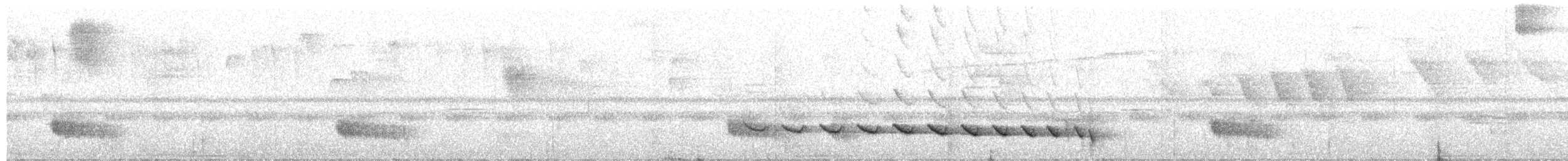 Bicolored Antvireo - ML654519899