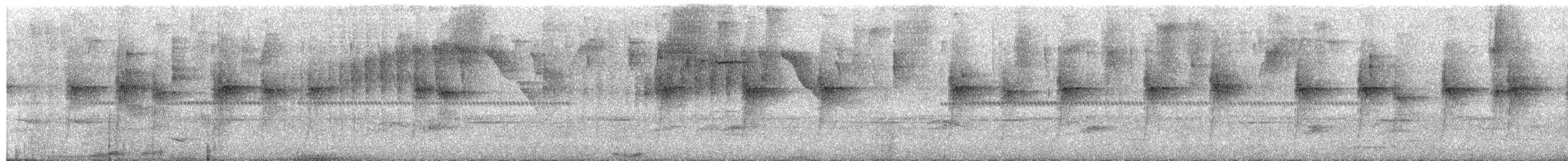Pacific Tuftedcheek - ML654521777