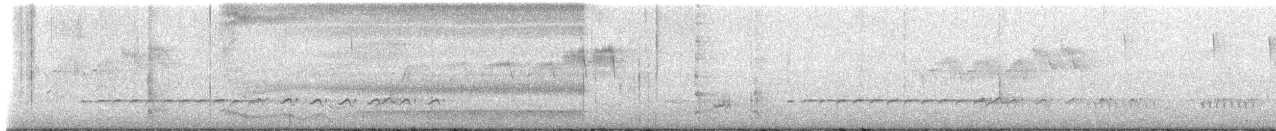 קיכלי נודד - ML654523369