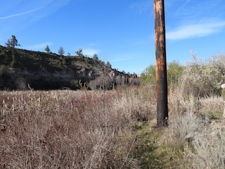 Borden Beck Wildlife Preserve, Deschutes, Oregon, United States - eBird ...