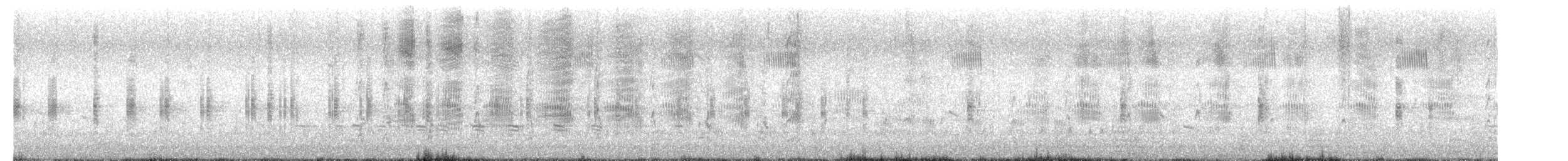Boat-tailed Grackle - ML654537910