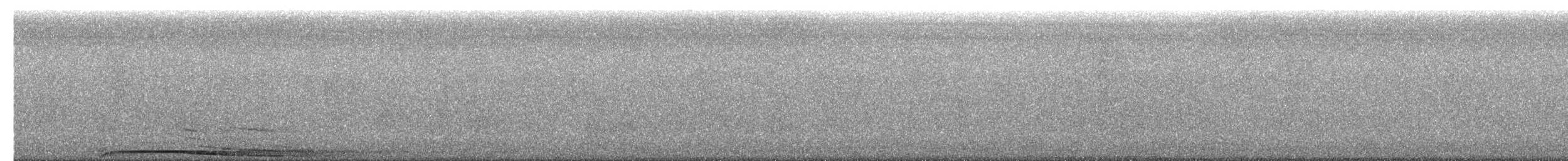 Barred Owl - ML654545951