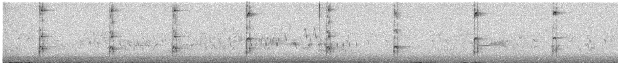 hårspett (orius/icastus) - ML654548974