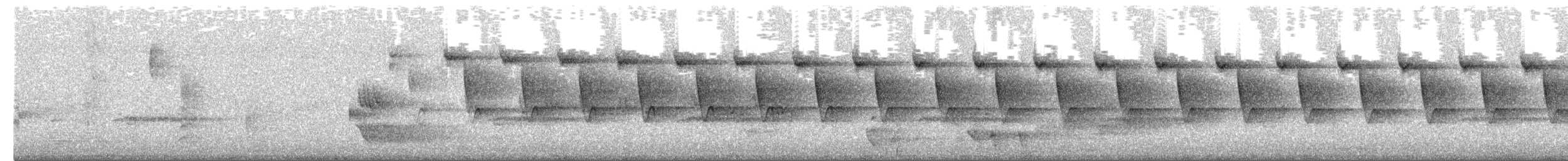 prydhonningeter - ML654559191