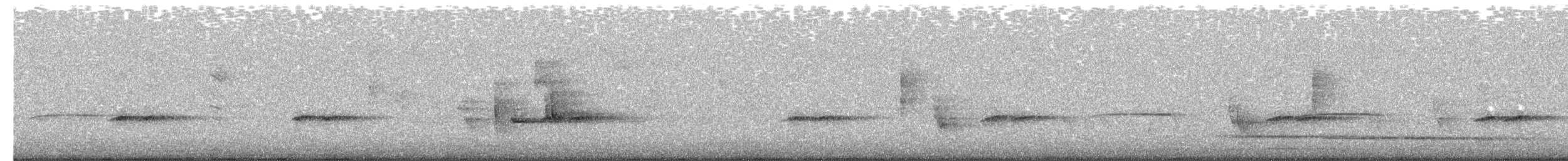 svarthettehonningeter - ML654559201
