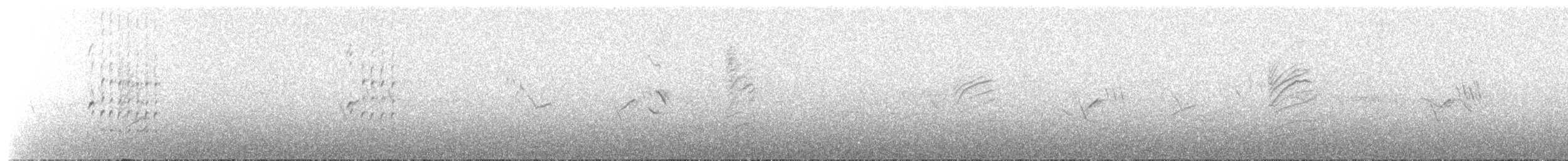 Island Canary - ML654559234
