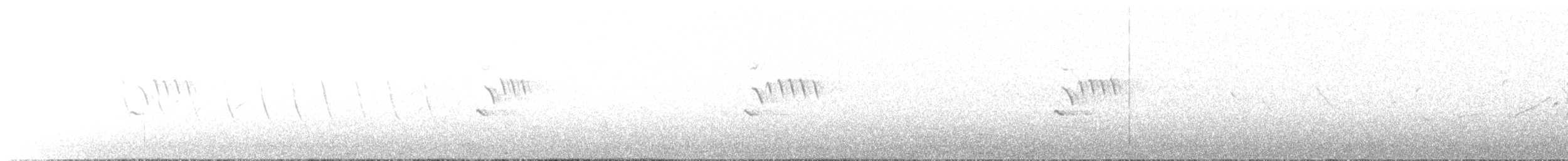 Island Canary - ML654559237