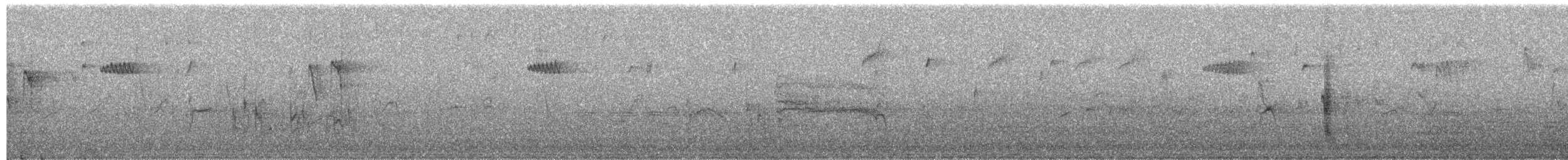 Waldbaumläufer - ML654559334