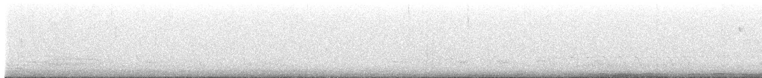 Barred Owl - ML654559523