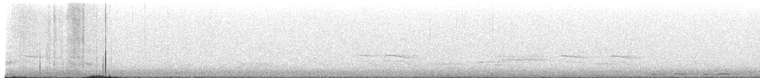 Barred Owl - ML654559528