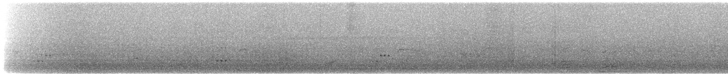 Zwergtaucher - ML654559596