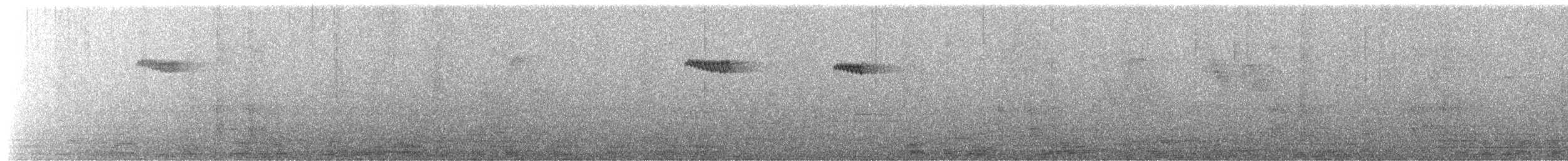 Waldbaumläufer - ML654559752