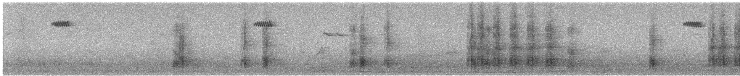 Waldbaumläufer - ML654559856