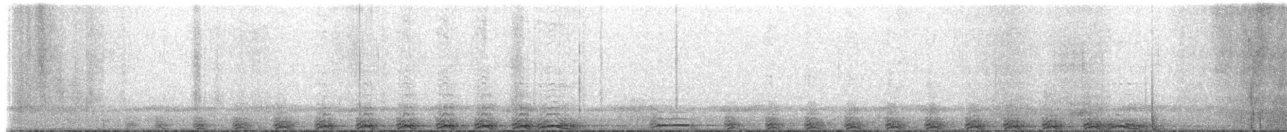 Barred Owl - ML654560132