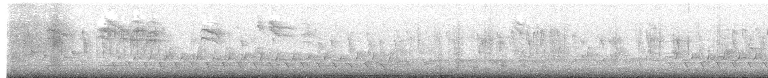 Troglodyte à bec court - ML654563066