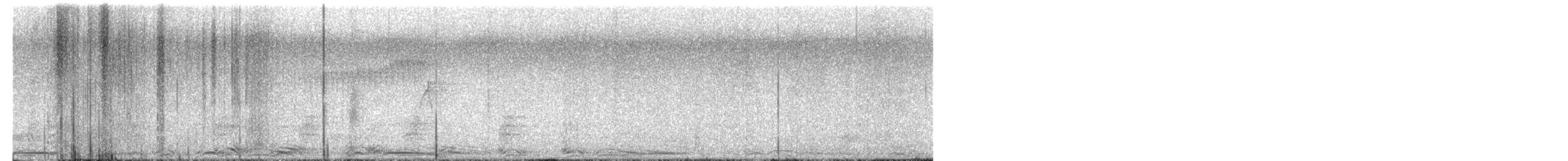 Barred Owl - ML654565302