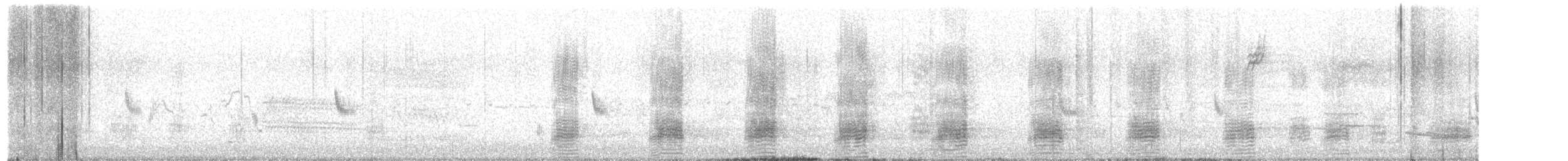 Stockente - ML654570495