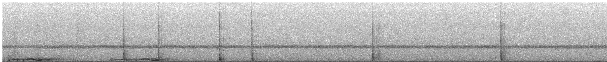 Barred Owl - ML654571678